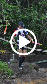 BIB:  <button type="button" onclick="openModal(27706738)" class="btn btn-primary btn-sm float-right" data-toggle="modal" data-target=".modal-high-quality">
                <i class="fa fa-download"></i> Download
                </button>